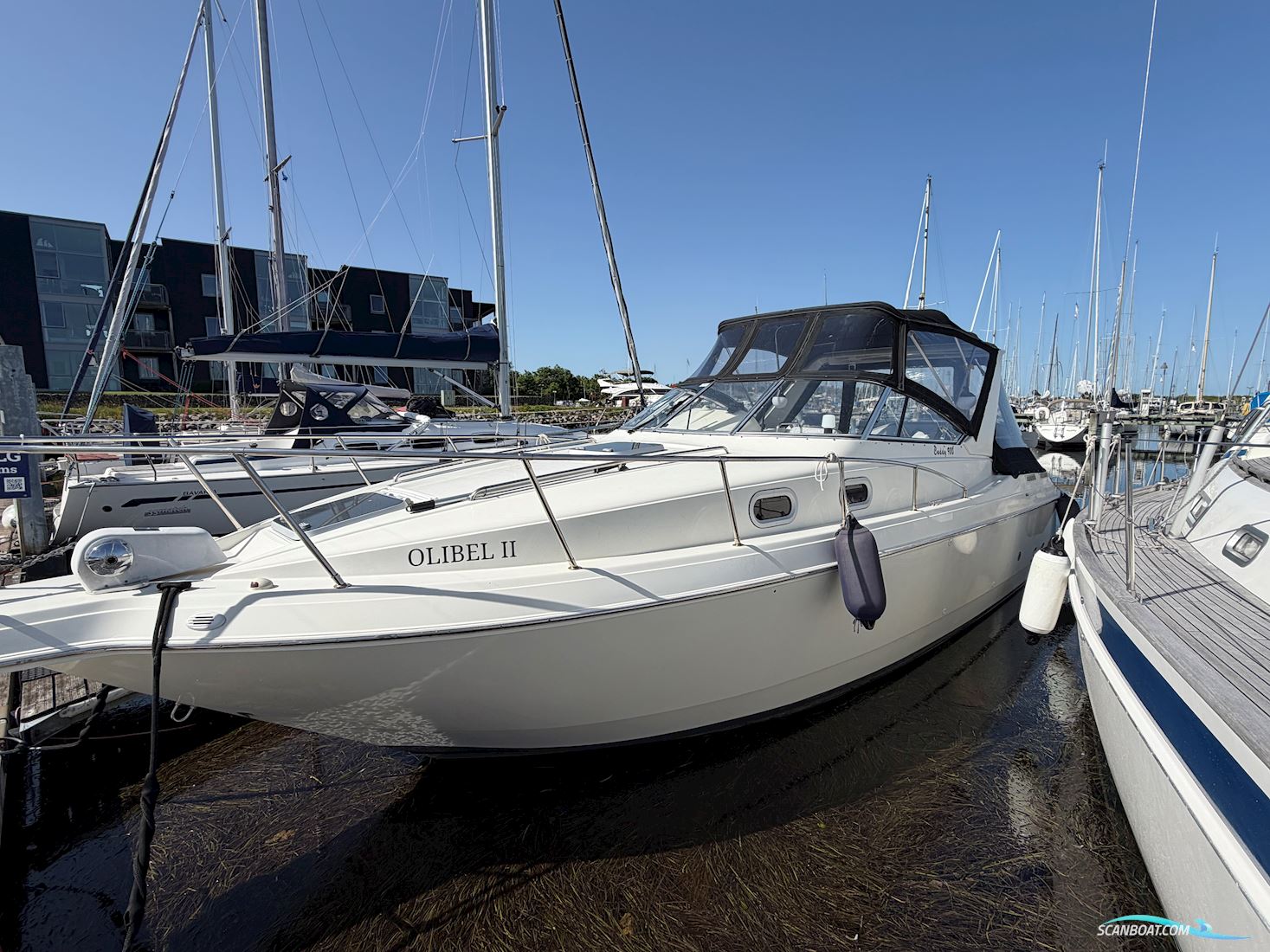 Sanboat Cuddy 980