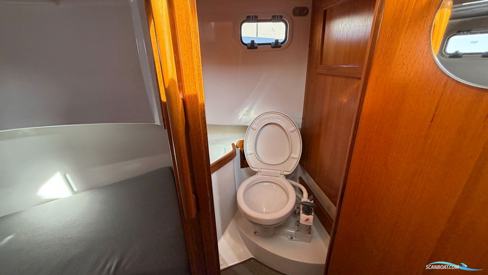 Sargo 25