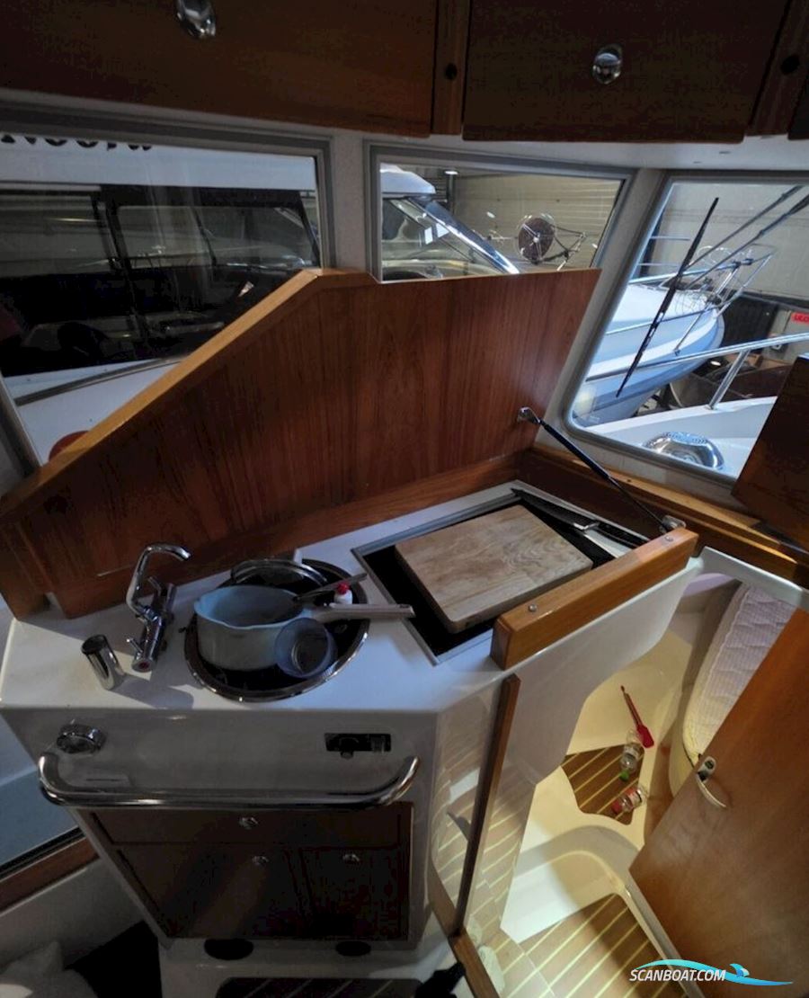 Sargo 28