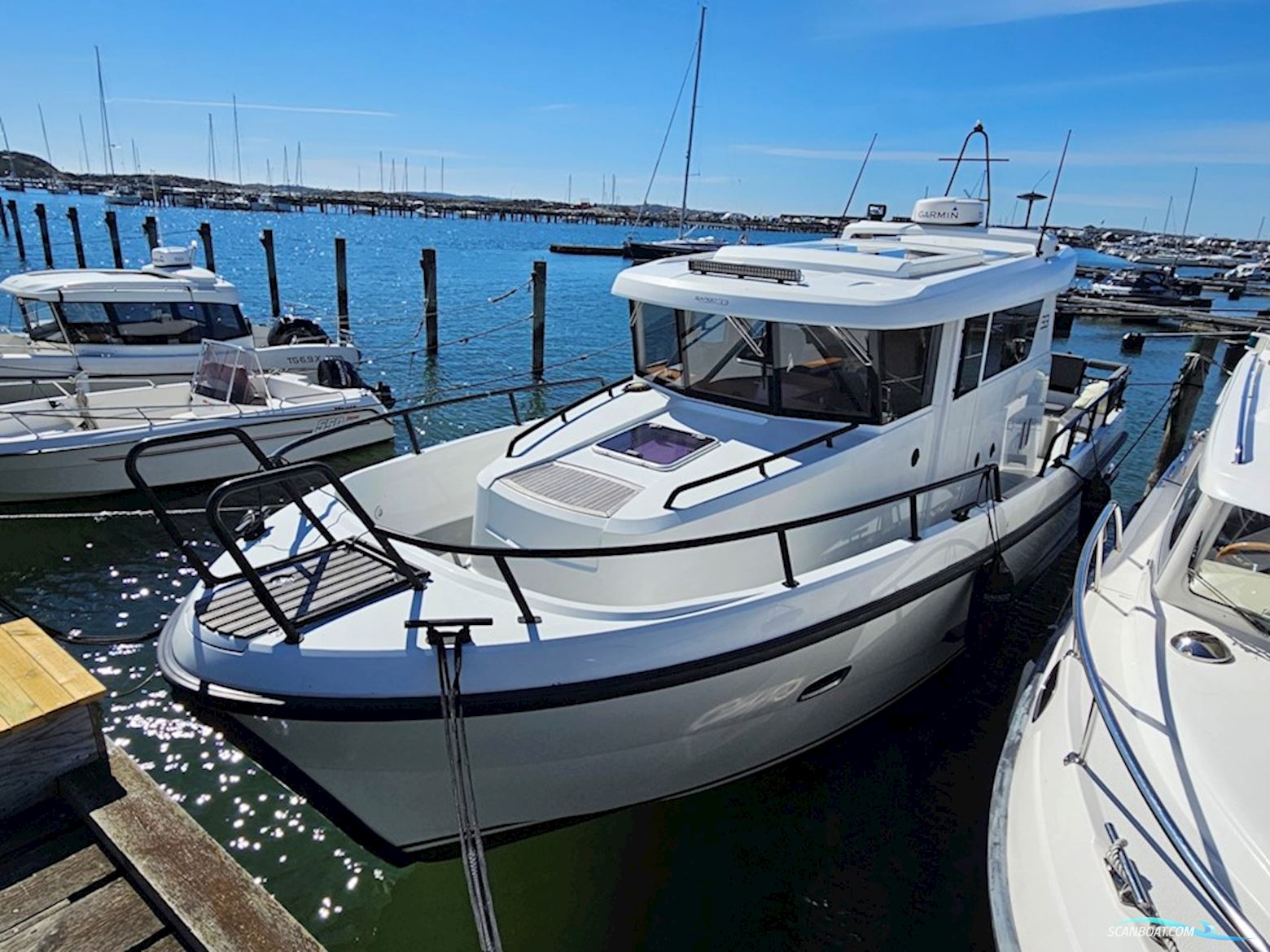 Sargo 33 Explorer