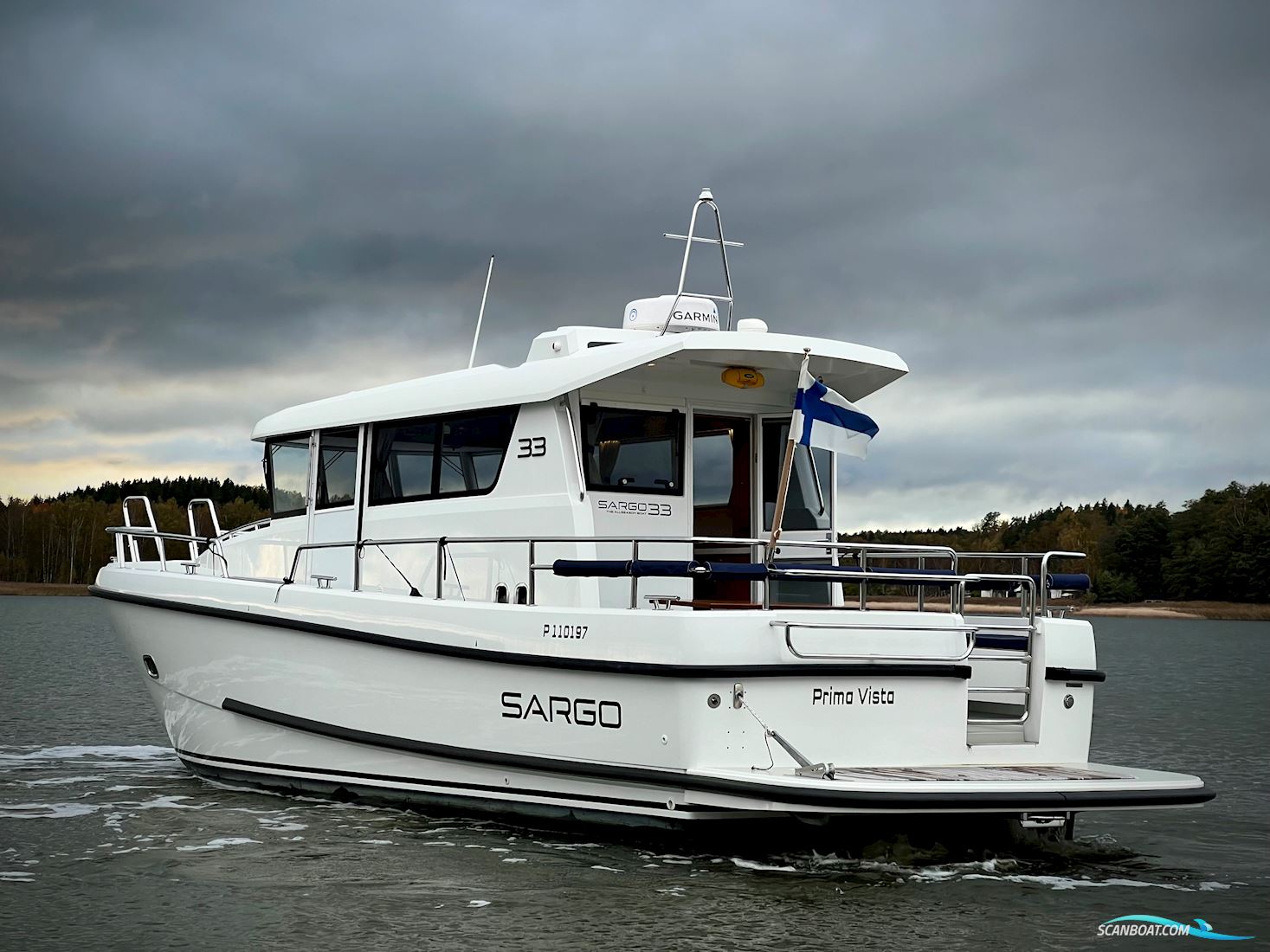 Sargo 33