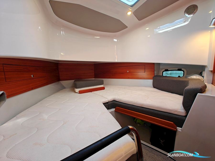 Sargo 33