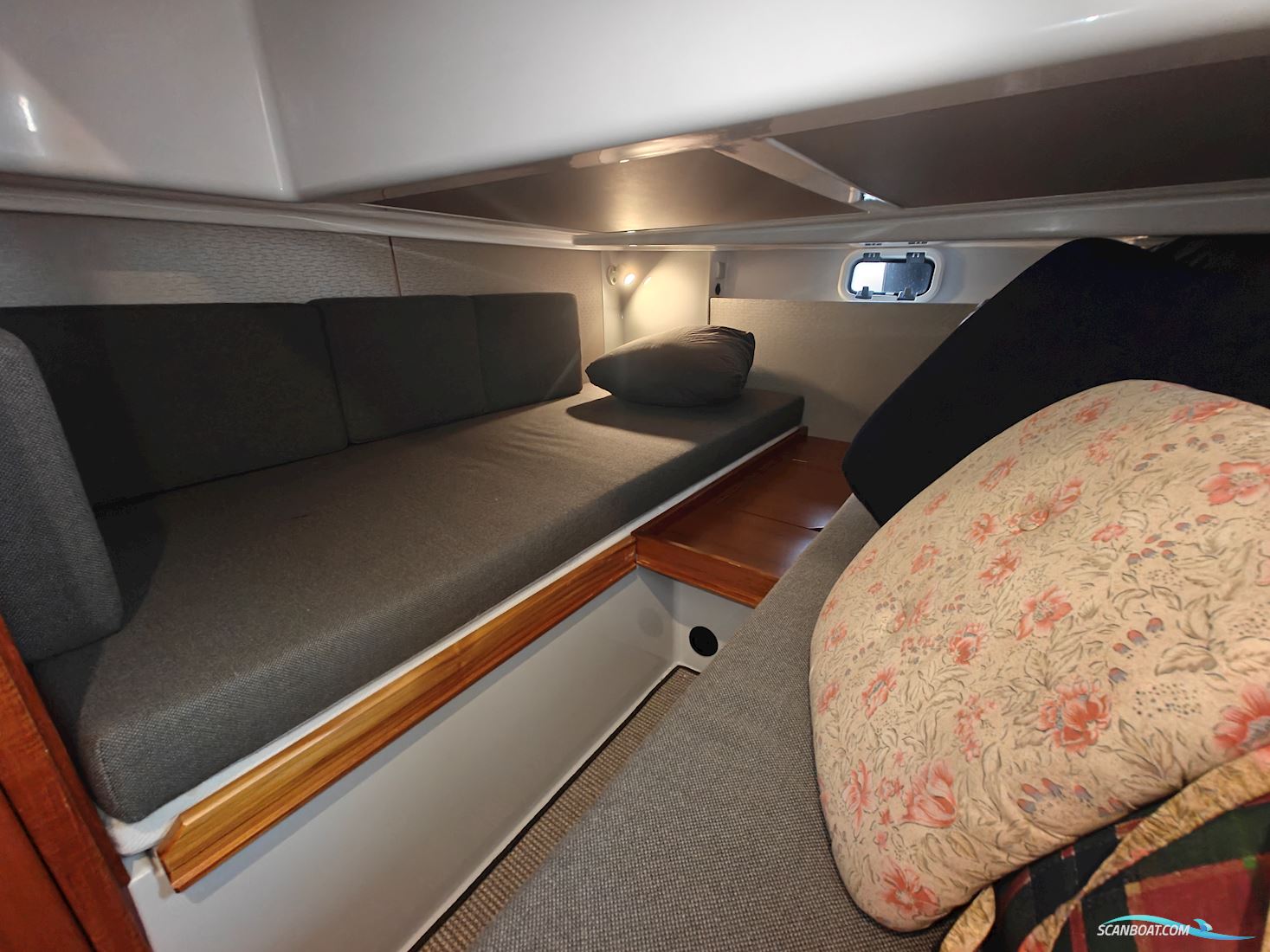 Sargo 33