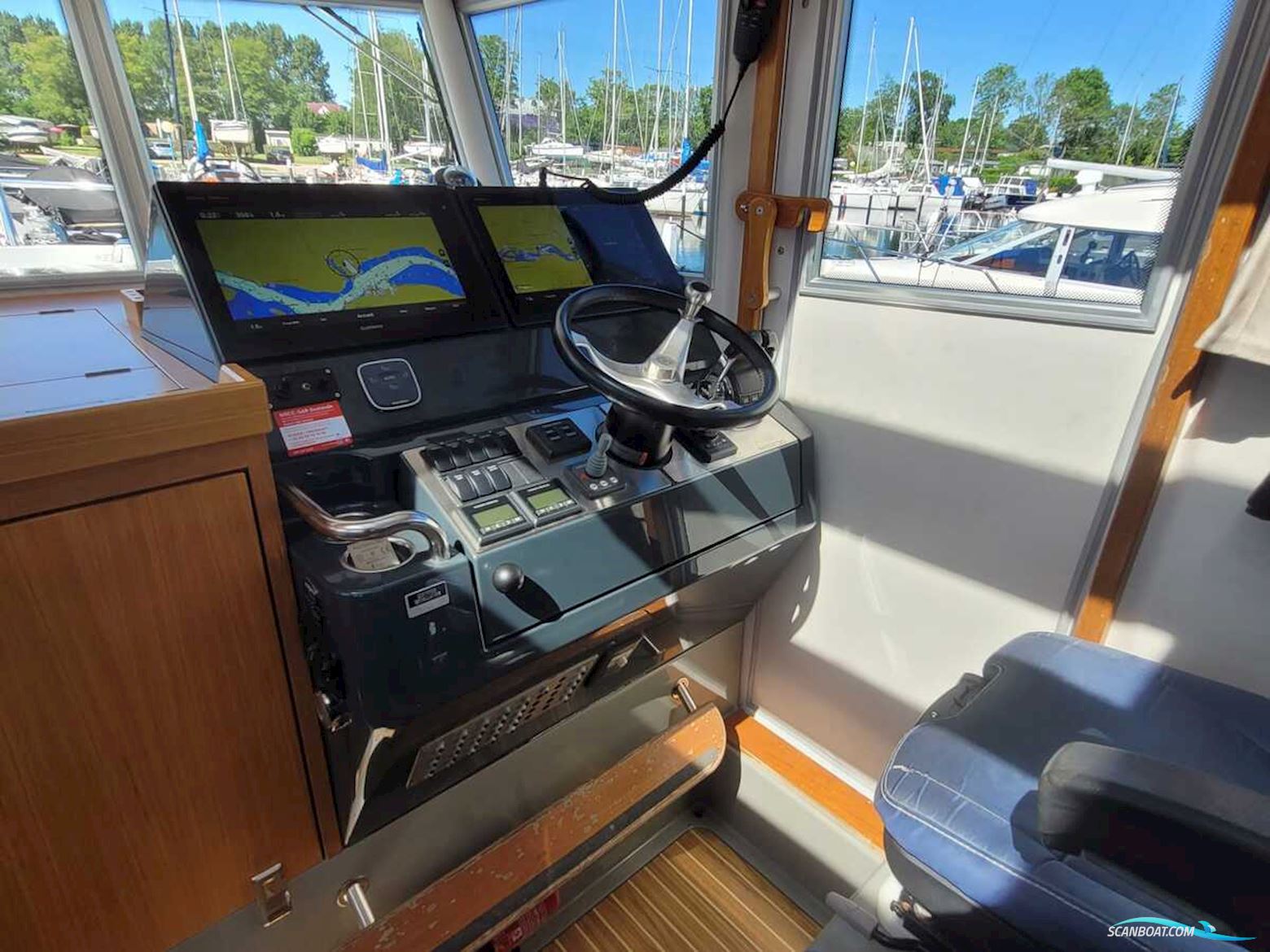 Sargo 36
