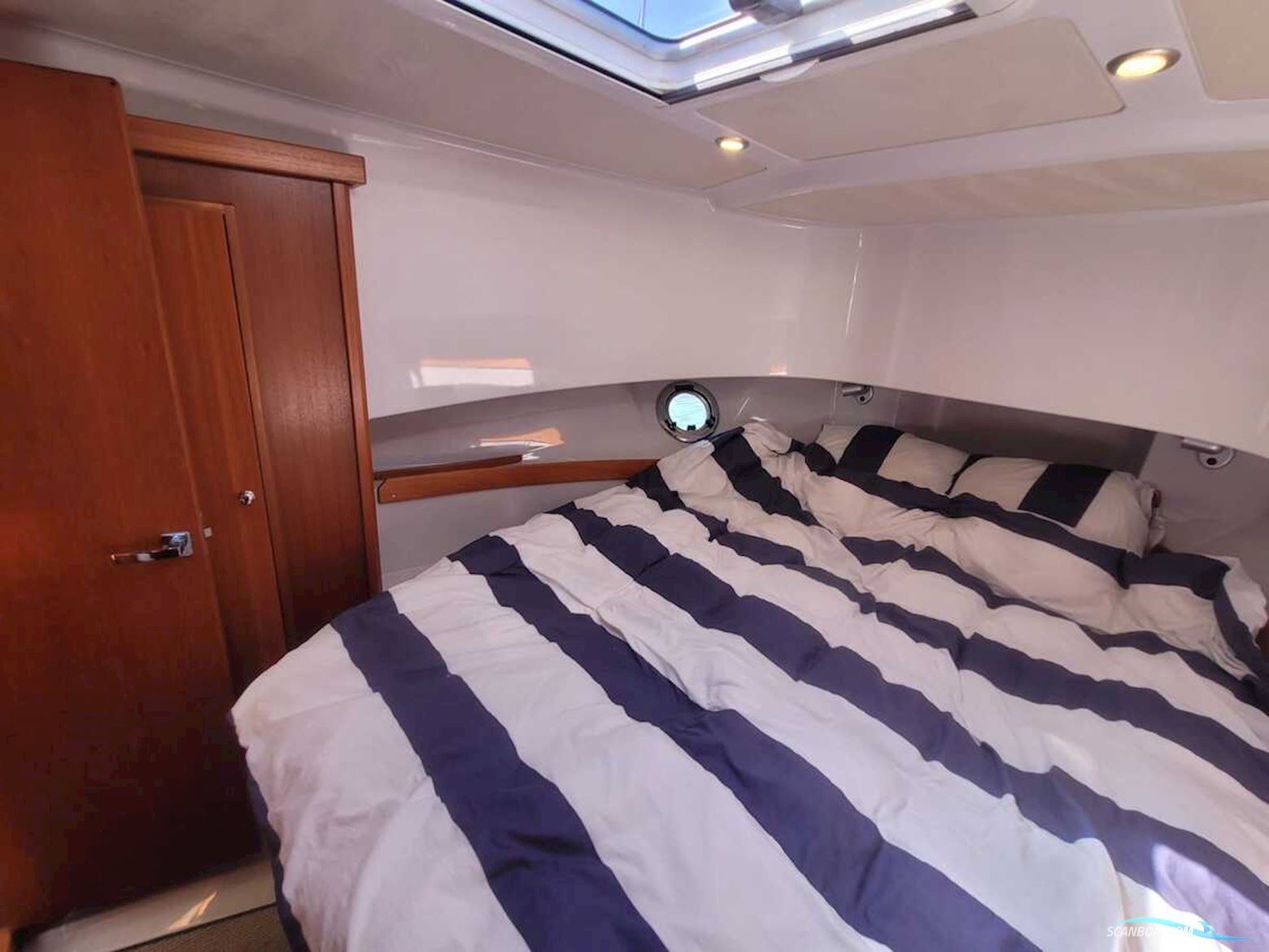 Sargo 36