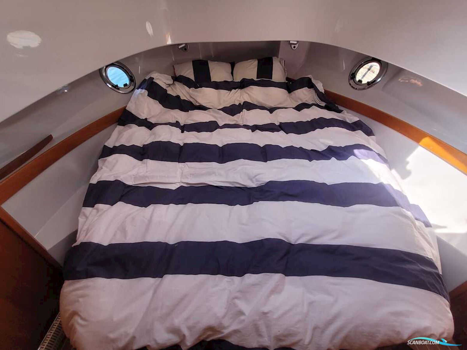 Sargo 36