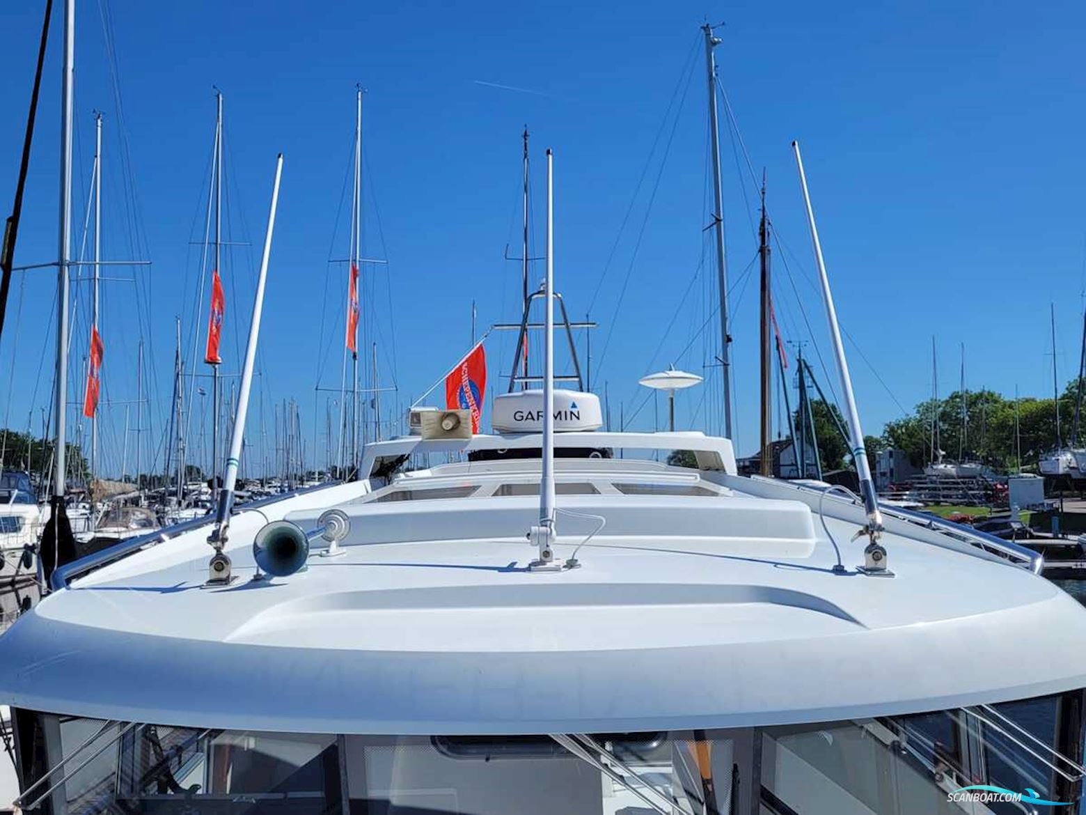 Sargo 36