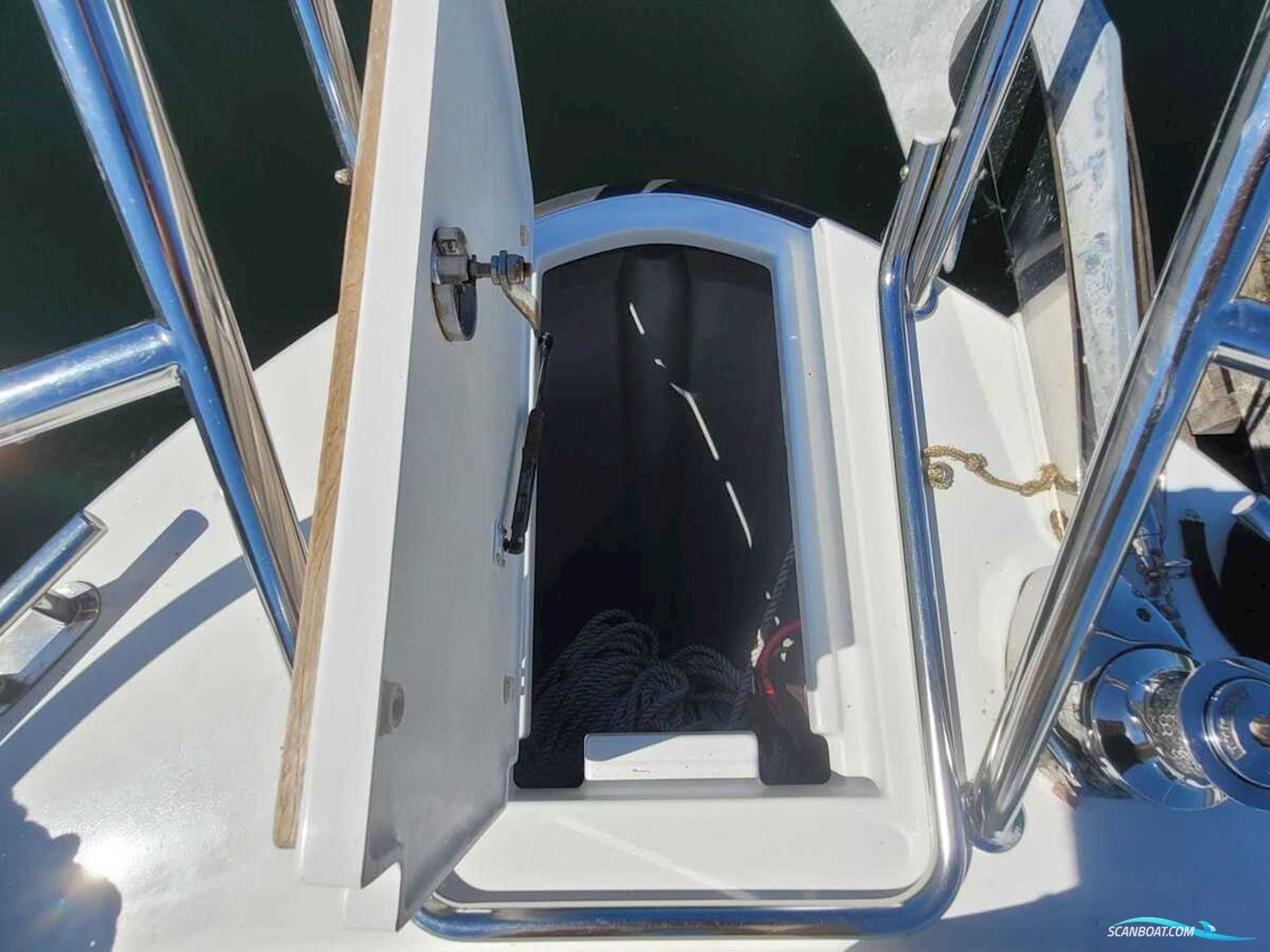 Sargo 36