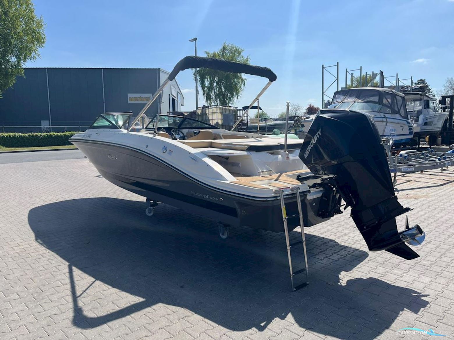 Sea Ray  210 SPX Outboard