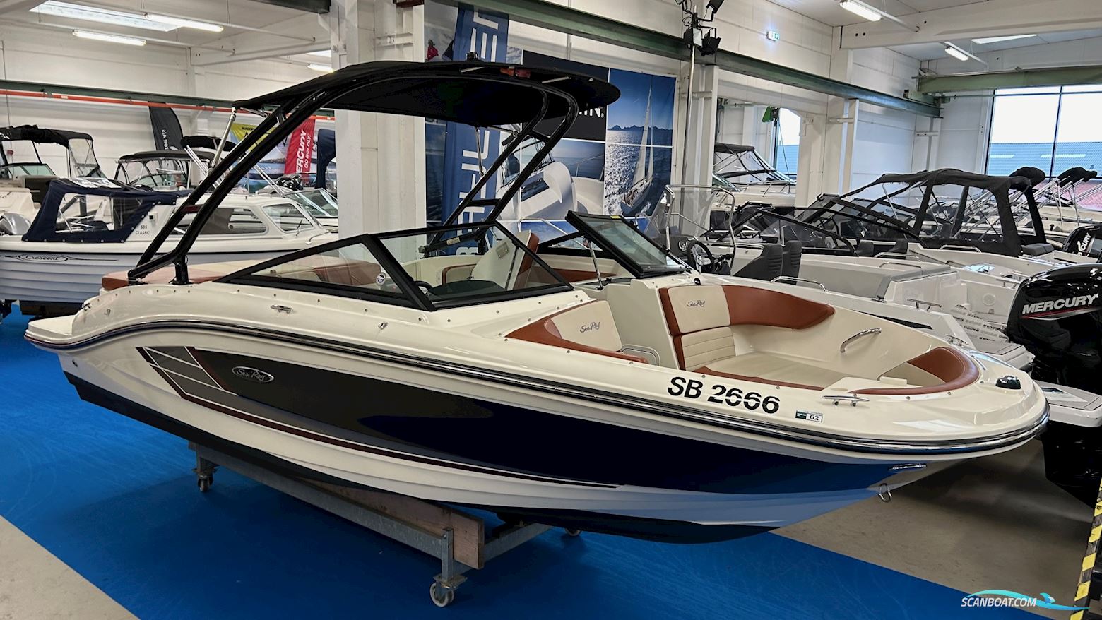 Sea Ray 19 Spx Mercruiser 4.3 l Mpi Motorbåd 2015, med Mercruiser 4.3 l Mpi motor, Danmark