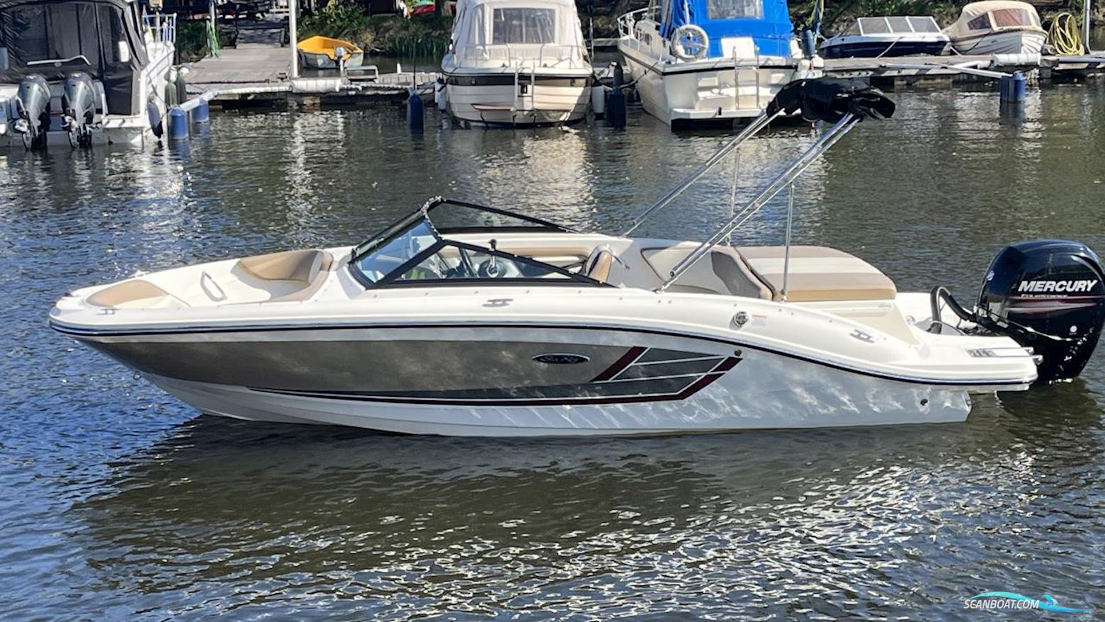 Sea Ray 19 Spx Motorbåd 2016, med  Mercury motor, Sverige