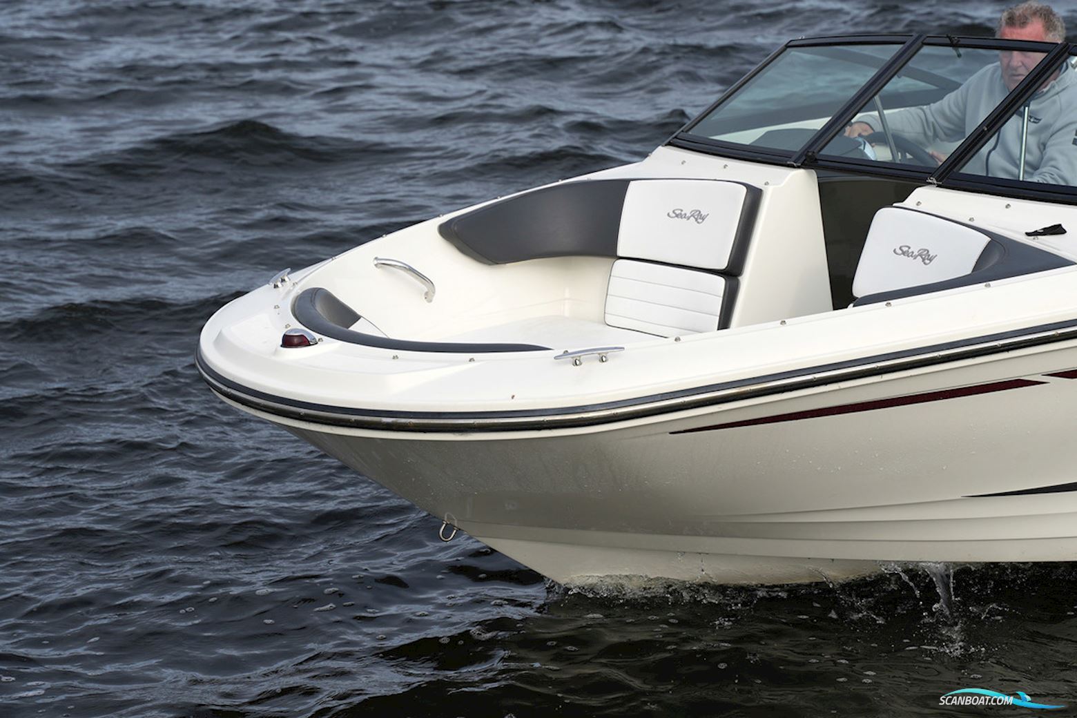 Sea Ray 19 SPX