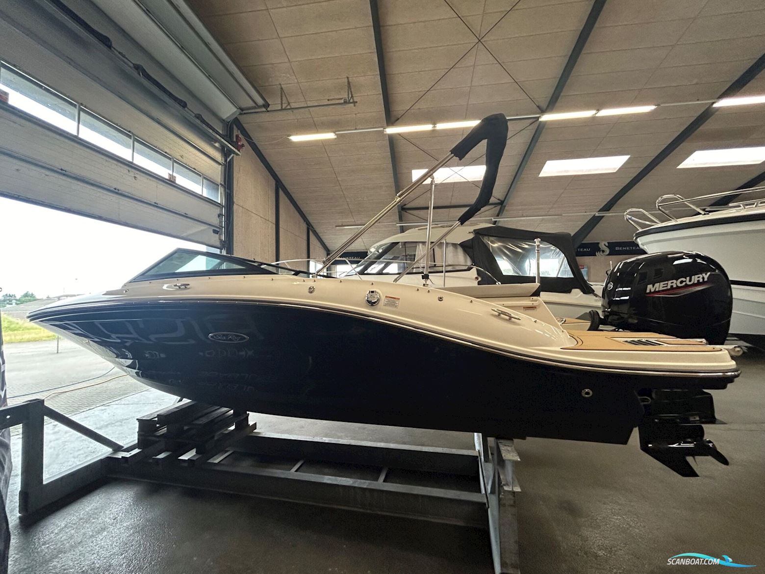 Sea Ray 190 SPX OB