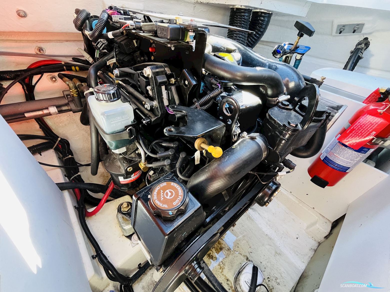 Sea Ray 190 Sunsport