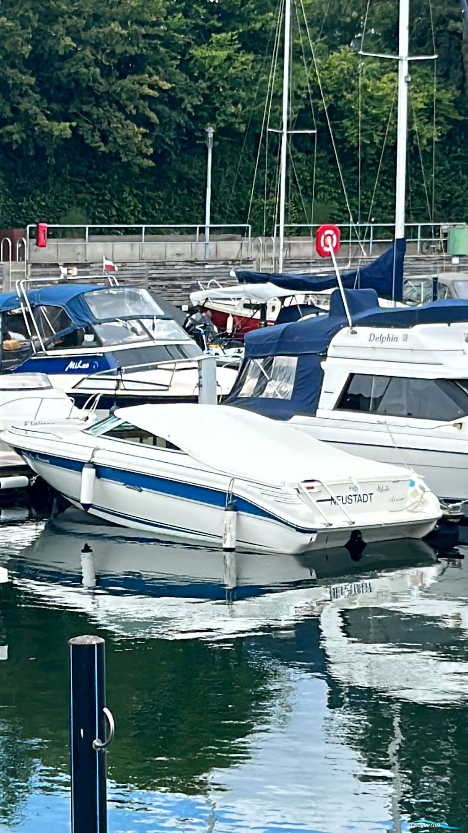 Sea Ray 200 OV Motorbåd 1991, med Mercruiser 5,0 l 8-Zylinder motor, Tyskland