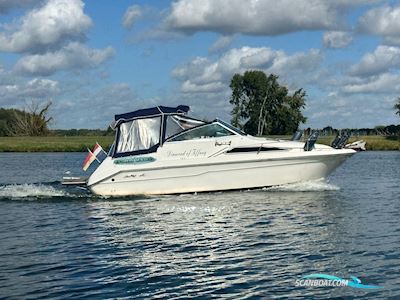 Sea Ray 220DA Motorbåd 1990, Holland