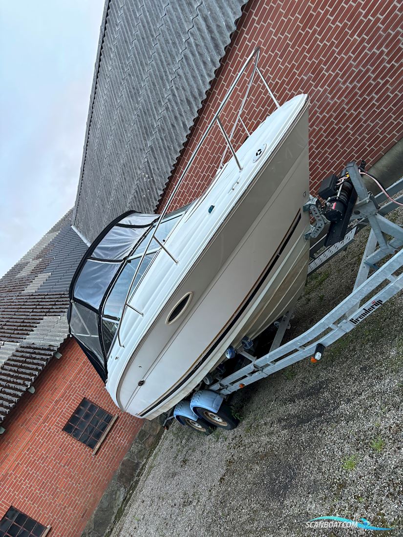 Sea Ray 225 Motorbåd 2006, med Mercury 5,0 Efi motor, Danmark