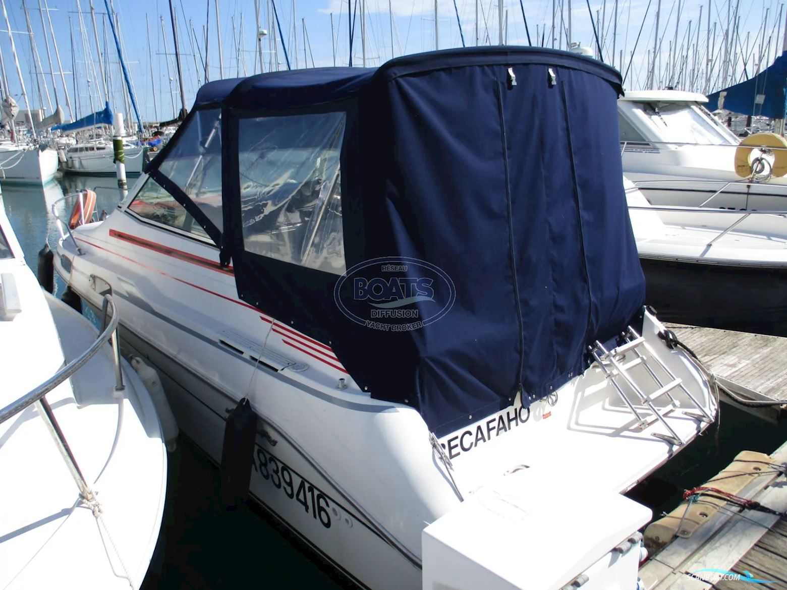 Sea Ray 230