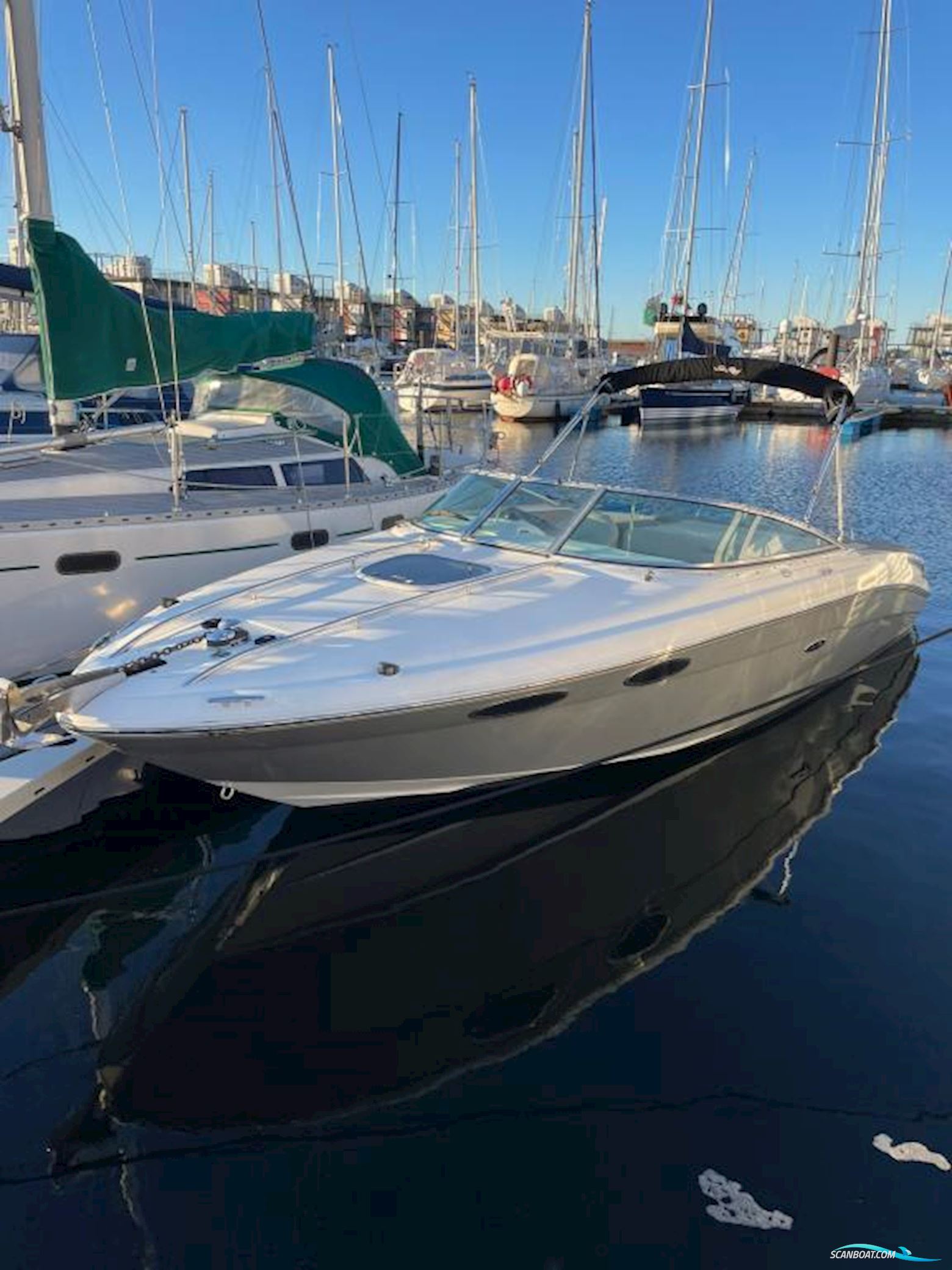Sea Ray 240 Sse Limited Edition Motorbåd 2012, med Mercruiser 5,0 Liter V8 motor, Tyskland