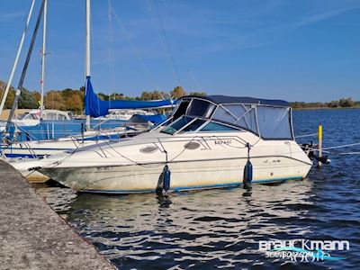 Sea Ray 250 DA Motorbåd 1996, med Mercruiser motor, Tyskland