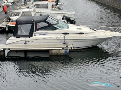 Motorbåd Sea Ray 250