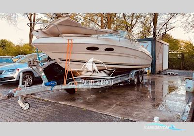 Sea Ray 260 Overnight Motorbåd 2000, med Mercury Marine motor, Holland