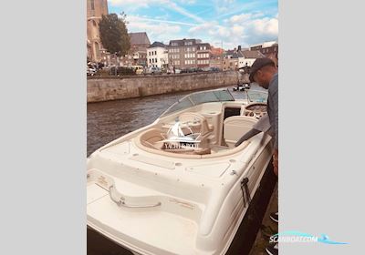 Sea Ray 260 Overnight Motorbåd 2000, med Mercury Marine motor, Holland