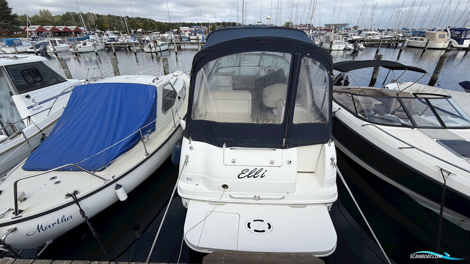Sea Ray 260 Sundancer
