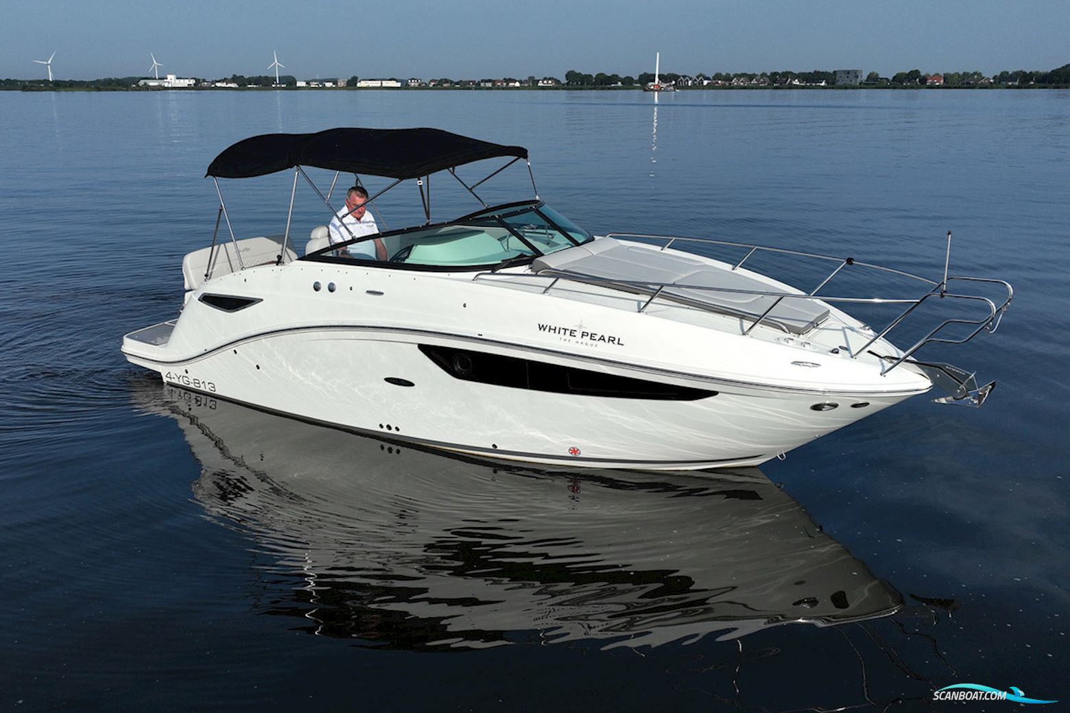 Sea Ray 265