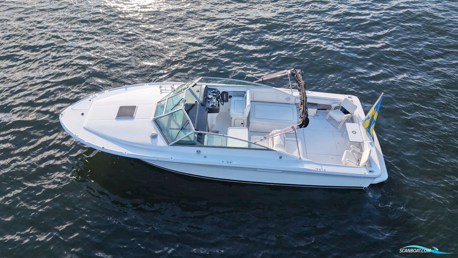Sea Ray 310 Amberjack