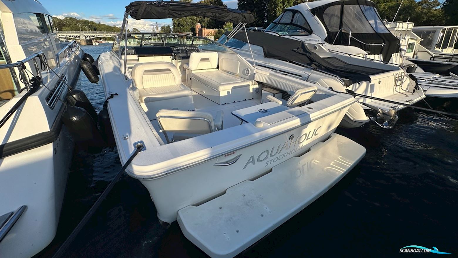 Sea Ray 310 Amberjack