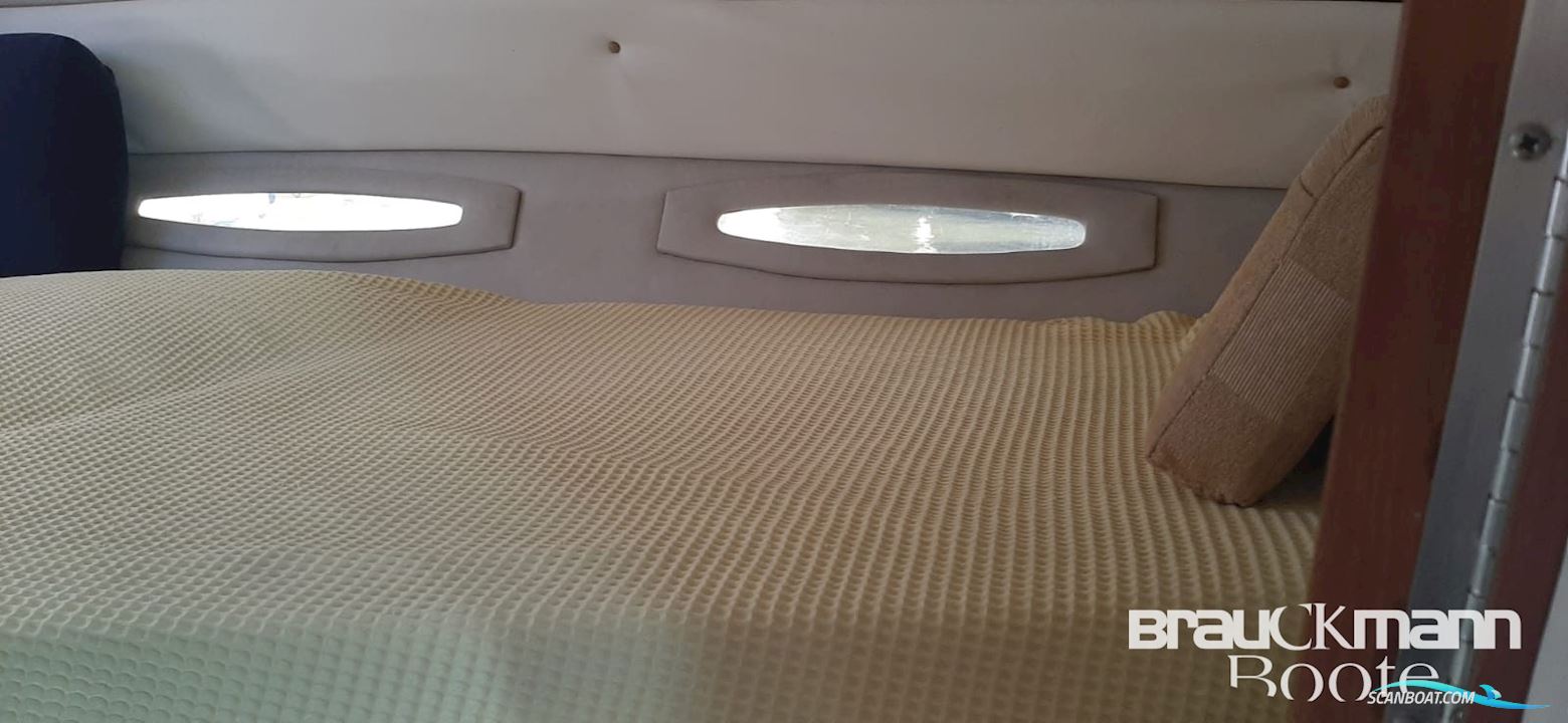 Sea Ray 310 Sad