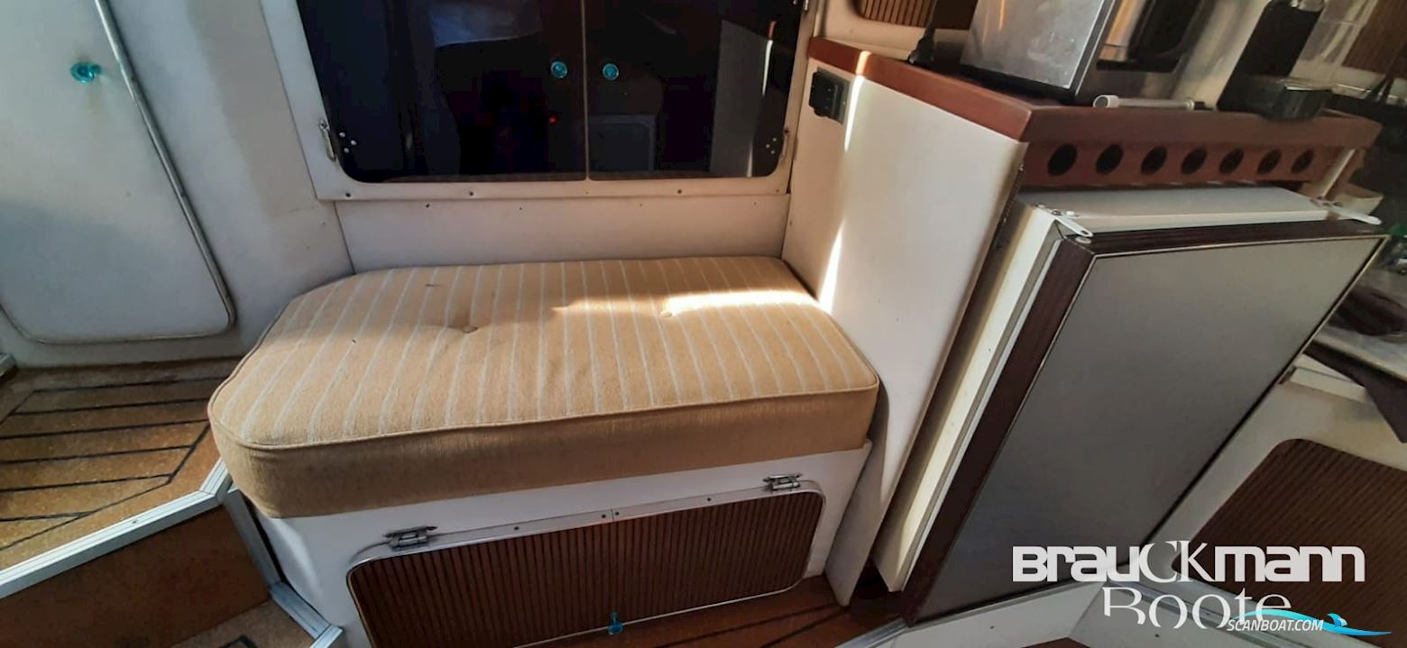 Sea Ray 310 Sad