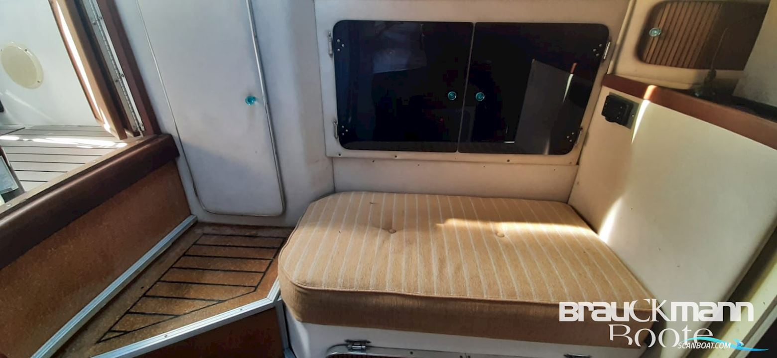Sea Ray 310 Sad