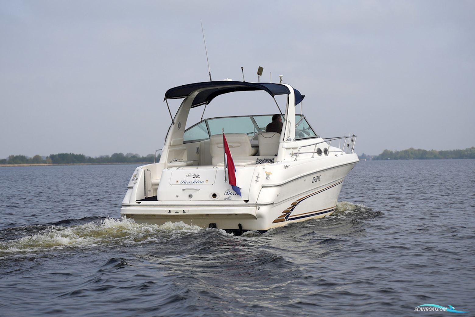 Sea Ray 310 Sundancer