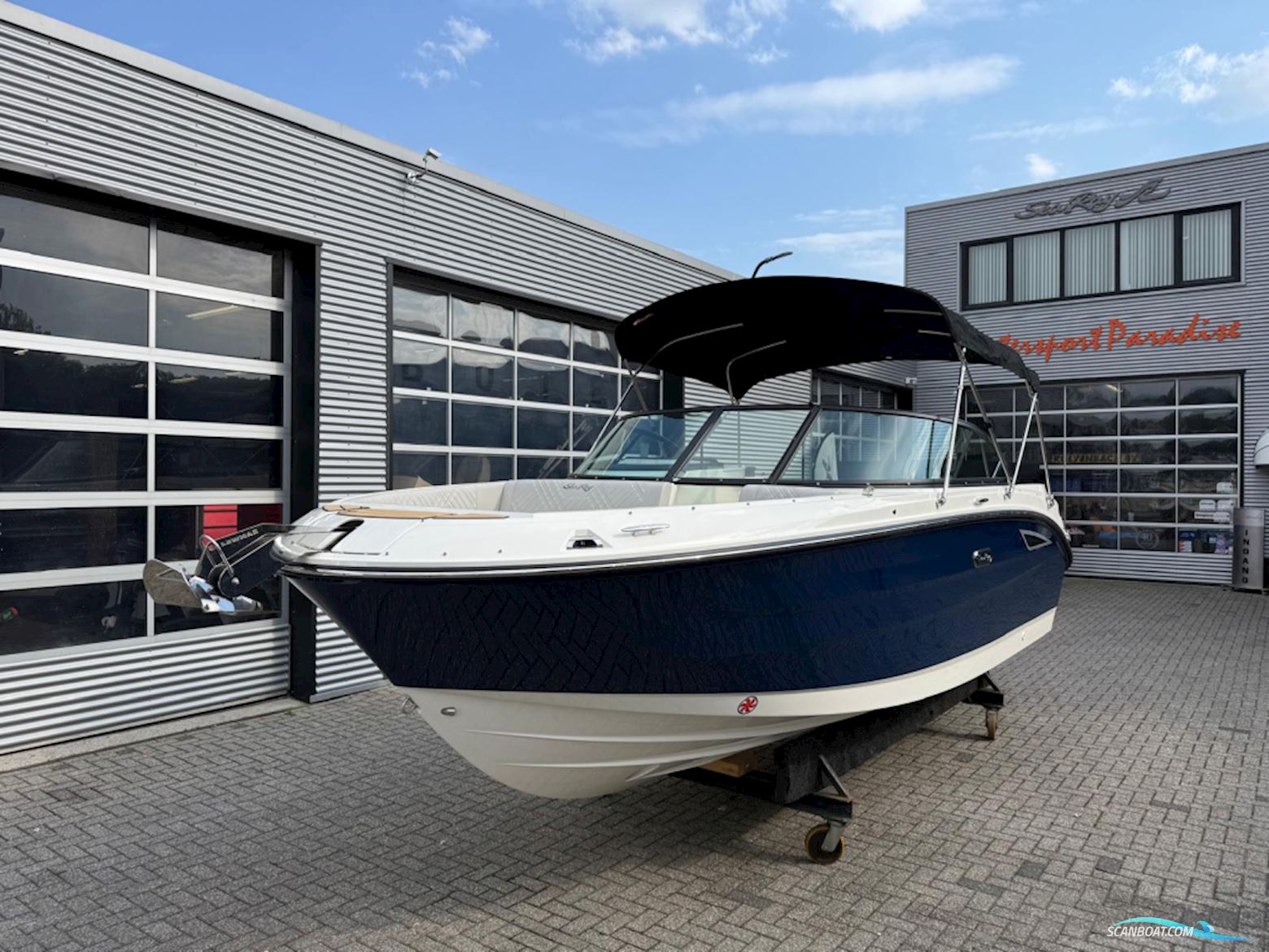 Sea Ray SDX 230 Motorbåd 2026, med MerCruiser motor, Holland
