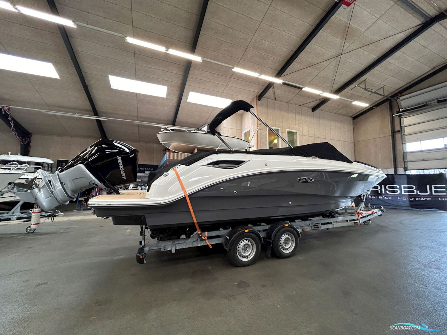 Sea Ray SDX 250 OB Motorbåd 2025, med Mercury motor, Danmark