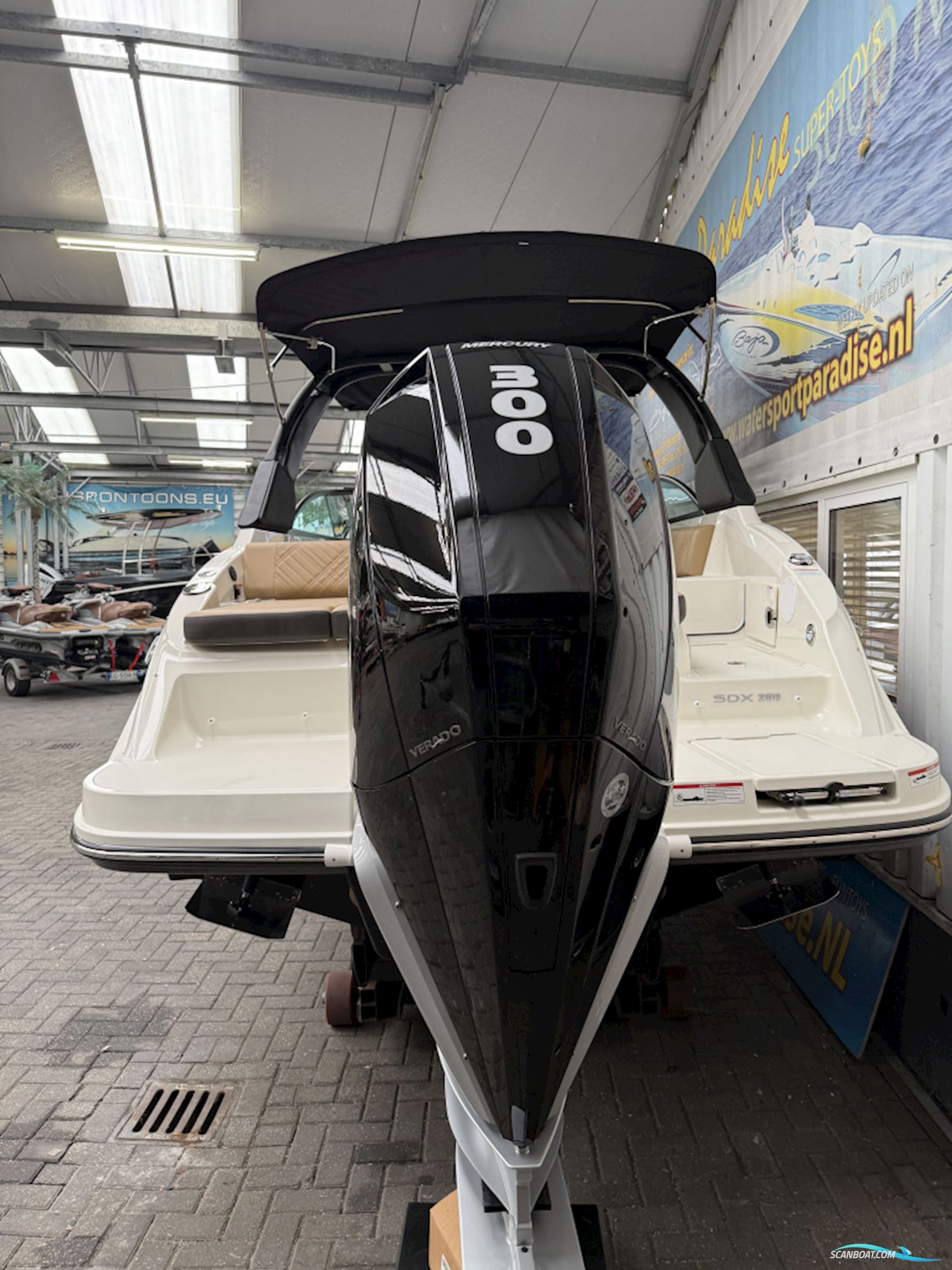 Sea Ray Sdx 250 Outboard