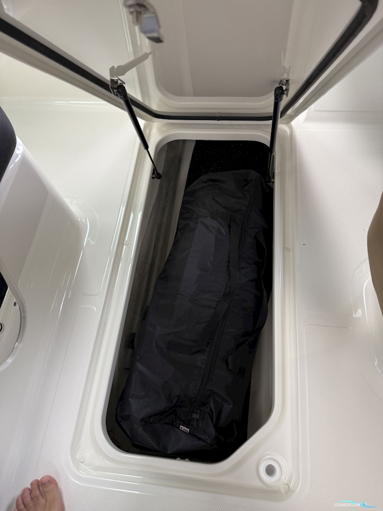 Sea Ray Sdx 250 Outboard