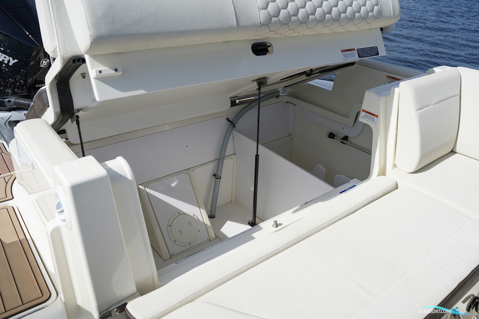 Sea Ray SDX 290 Outboard