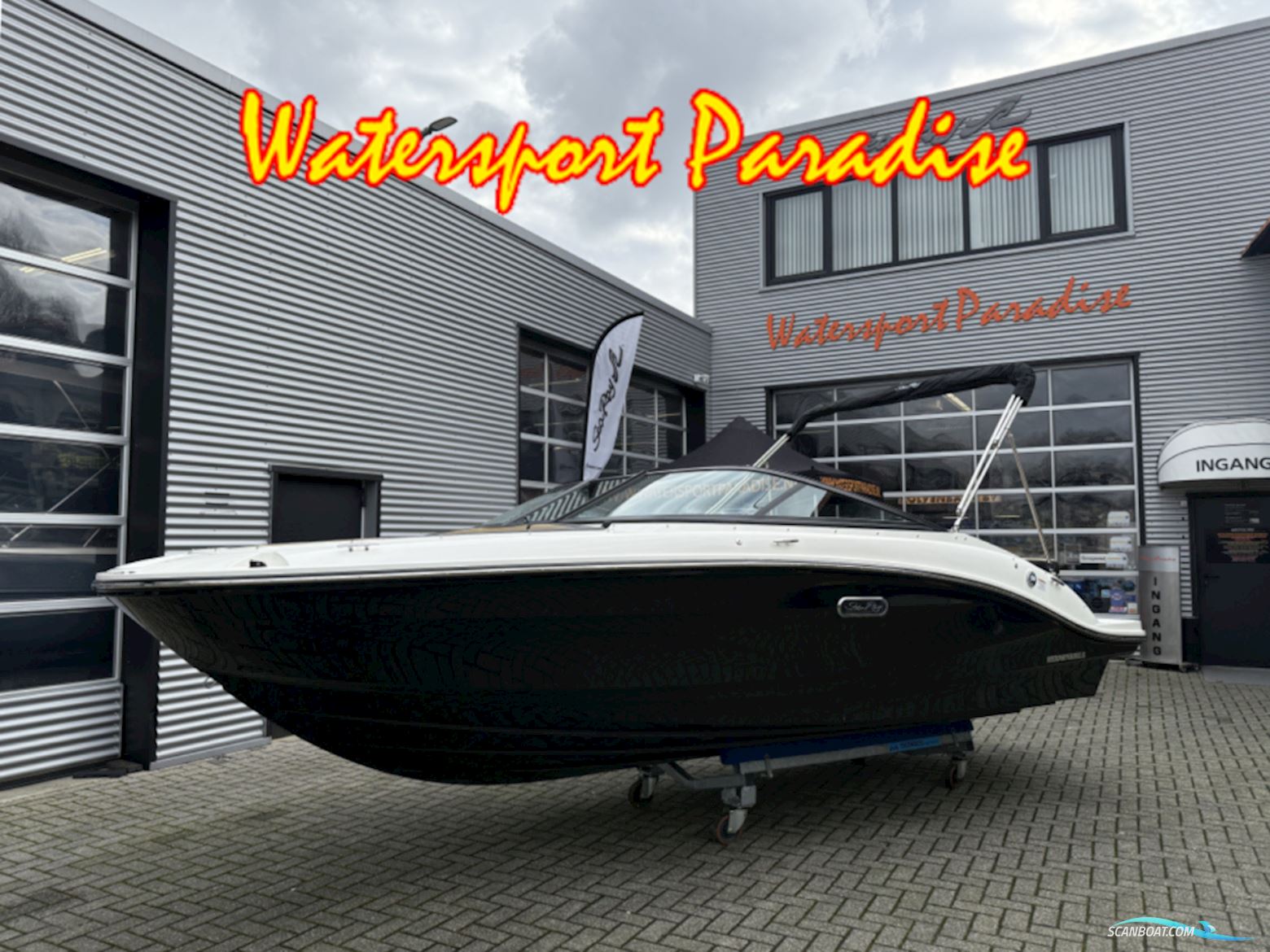 Sea Ray Spx 190 Motorbåd 2024, med Mercruiser motor, Holland