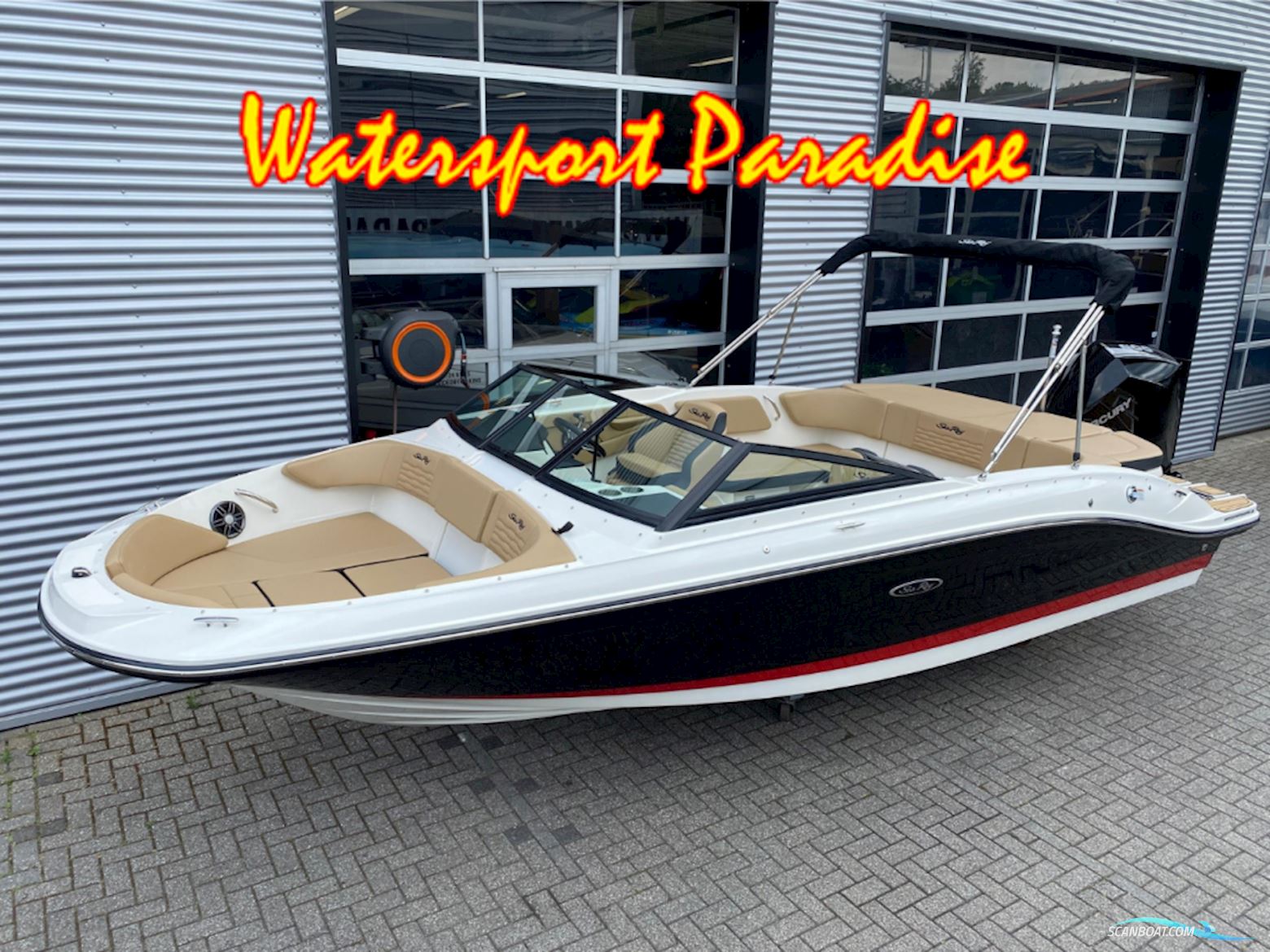 Sea Ray Spx 210 Outboard Motorbåd 2023, Holland