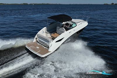 Sea Ray Sundancer 265 Motorbåd 2021, Holland