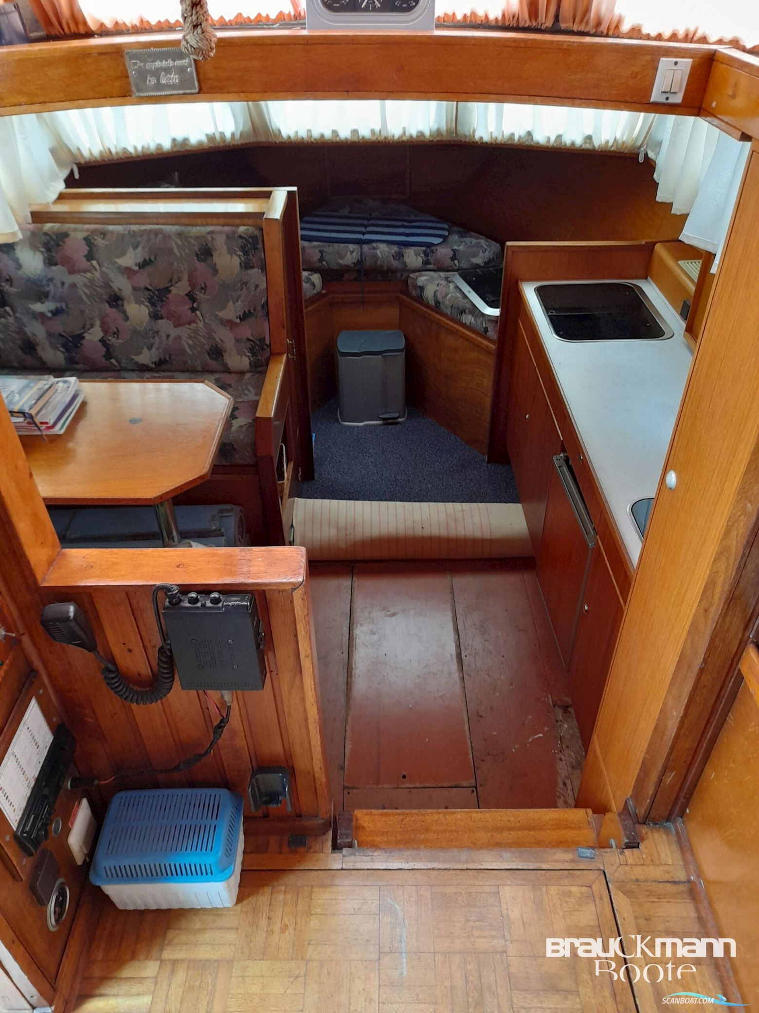 Seahorse Modell