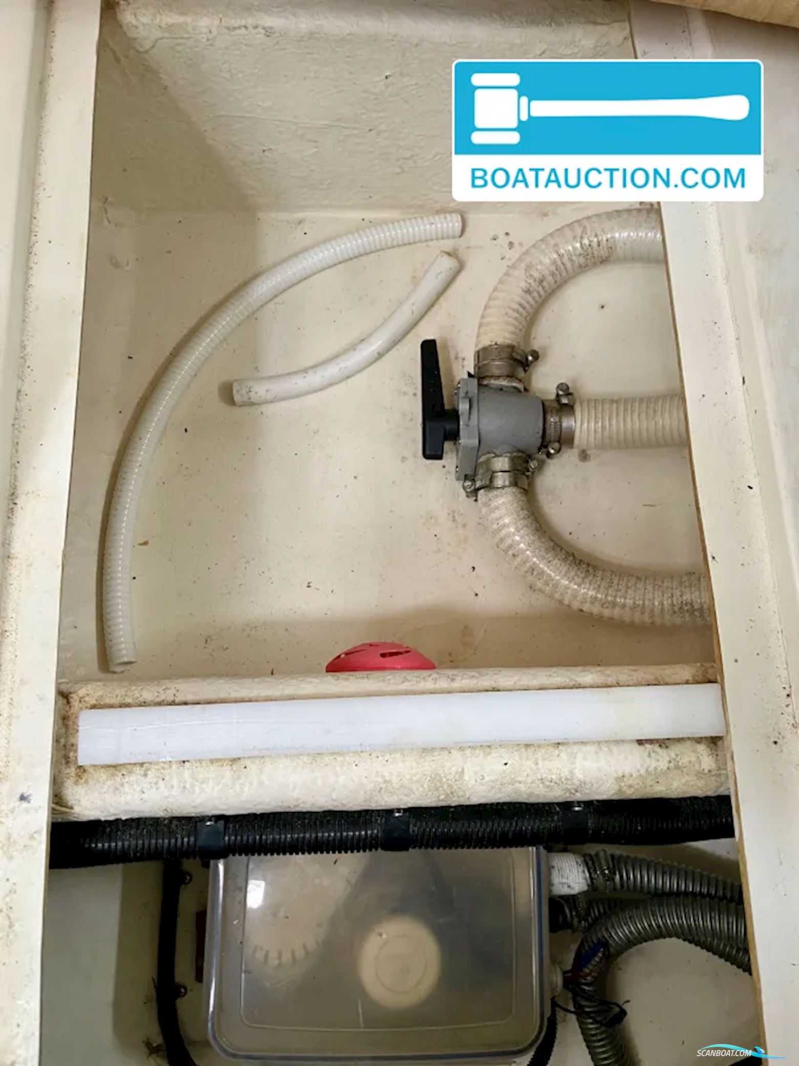 Sealine 310 Sportbridge