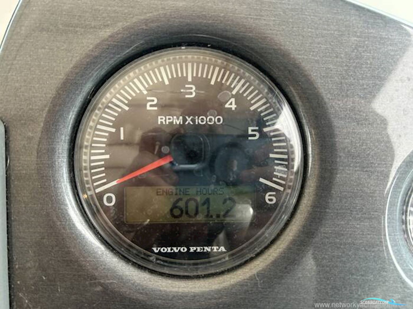 Sealine International SC29