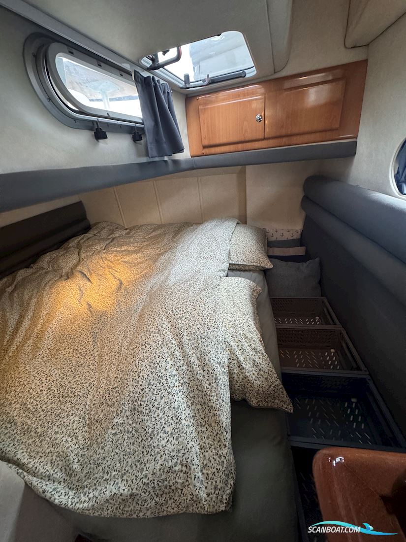 SEALINE S37