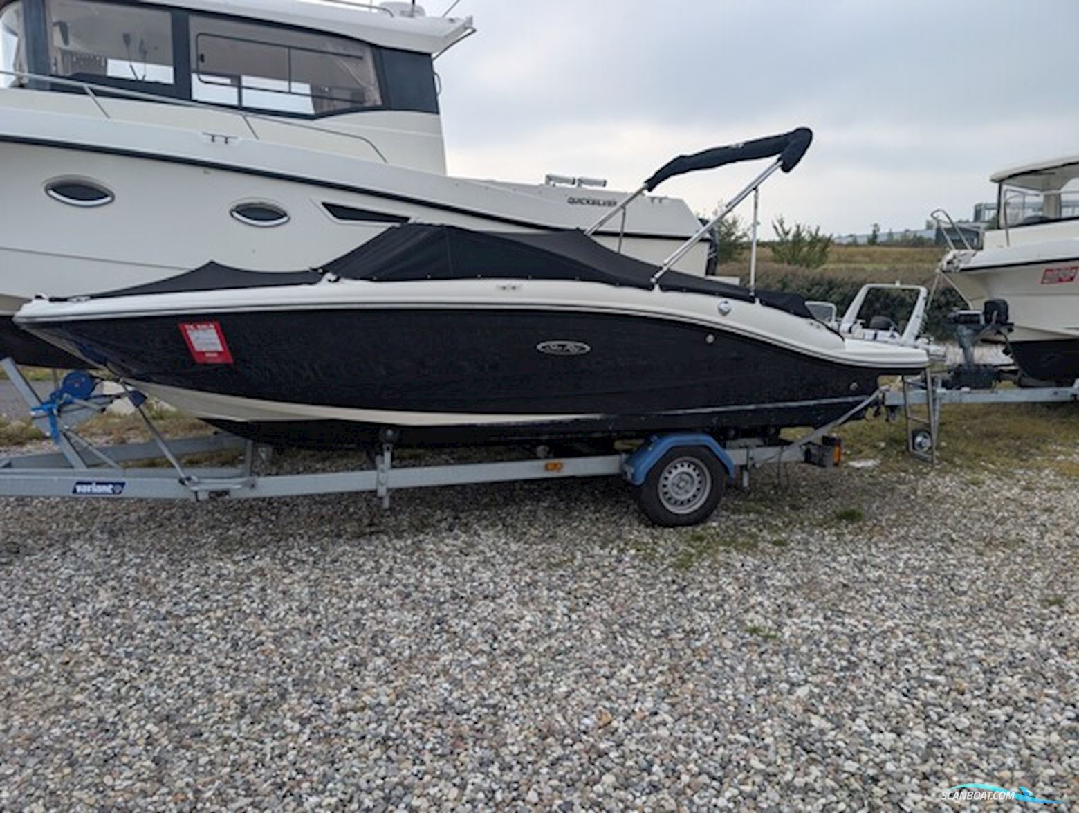 Searay 190 spx Motorbåd 2019, med MerCruiser motor, Danmark