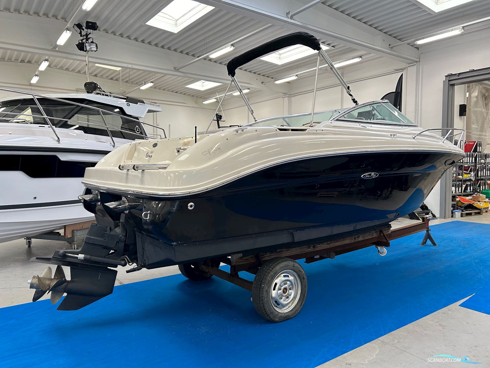Searay 225 Weekender
