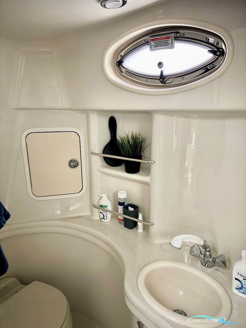SeaRay 330